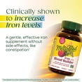 thumbnail image 5 of MegaFood Blood Builder Minis - Iron Supplement for Women with Vitamin C, B12 - 30 Servings, 5 of 9