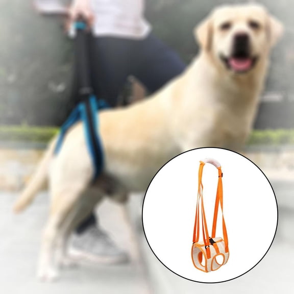 Dog Lift , Support Lifting Harness Help with Loss of Stability Caused By Joint Injuries Dog Hip Back Legs Lifter for Older Dogs Helpful M