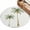 White, variant on 2x3 Washable Area Rugs,Retro Green Palm Trees on Linen Non-Slip Ultra Soft Rug Large Indoor Carpet,Coastal Tropical Plants Floor Rugs for Home Living Room Bedroom Dining Room Office