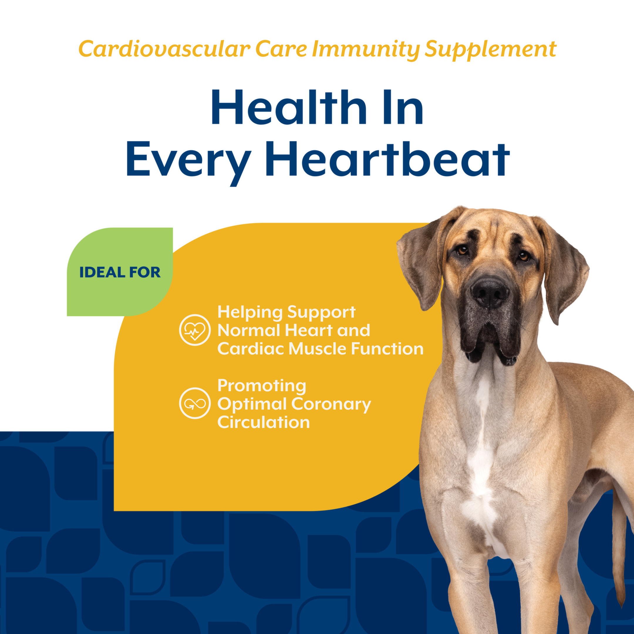 NaturVet Cardiovascular Care Immunity Supplement for Dogs, Hickory Smoked Bacon Flavor, 60 Count