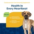 thumbnail image 6 of NaturVet Cardiovascular Care Immunity Supplement for Dogs, Hickory Smoked Bacon Flavor, 60 Count, 6 of 9