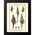 thumbnail image 2 of Diderot, Denis 11x14 Black Modern Framed Museum Art Print Titled - Sea Shells I, 2 of 5