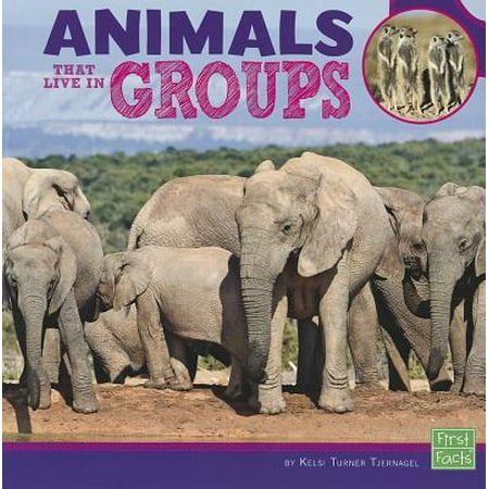- Animals That Live in Groups