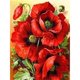 thumbnail image 1 of Flower Poppy Pre-Printed 11CT Cross Stitch Embroidery Patterns DMC Threads Needlework Handicraft Sewing Hobby Home Needle80x100cm&14CT Silk Threads Gao Jinjia LED, 1 of 1