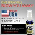 thumbnail image 3 of Spray ambientador Scent Bomb Piña Colada 30 ml, paquete de 4, 3 of 6