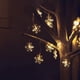 thumbnail image 4 of Guirnalda de luces LED con forma de copo de nieve, 6 m, 40 unidades, funciona con pilas, dos modos: monocromático y con rayo, ideal para Navidad, para interiores y exteriores (blanco cálido)., 4 of 4