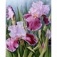 thumbnail image 1 of Taladro Diamante Pintura (DB2610) 5D DIY Flor completa Kit de punto de cruz Arte de la pared (V384) 30x40cm Hugtrwg Para estrenar, 1 of 1