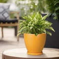 thumbnail image 5 of Ordivic 6 inch Orange Ceramic Plant Pot with Drainage Hole & Saucer | Minimalist Pot for Snake Plants, Succulents & Herbs | Indoor & Outdoor, 5 of 8