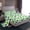White Green, variant on jejeloiu Happy St.Patrick Day Twin Sheet Sets,Green Lucky Clover Leaves Bedding For Girls Boys 3-Piece