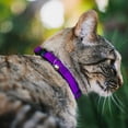 thumbnail image 2 of Buckle-Down Breakaway Cat Collar With Bell, Plastic Clip, Easy Adjustable, Neon Purple, 8.5 to 12 Inches 0.5 Inch Wide, 2 of 4