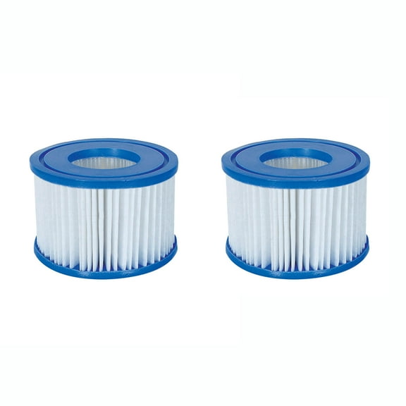 Bestway Spa Filter Pump Replacement Cartridge Type VI SaluSpa Hot Tub (2 Pack)