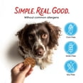 thumbnail image 4 of Farmland Traditions Filler Free Dogs Love Turkey & Sweet Potato Premium Jerky Treats for Dogs, 1 lb. Bag, 4 of 8