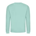 thumbnail image 2 of AWDis Just Hoods AWDis  Crew Neck Plain Sweatshirt (280 GSM), 2 of 4