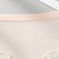 thumbnail image 4 of Byworldtasic Plus Size Women's Seamless Lace Underwear Soft Stretch Briefs No-Show Hipster Panties, 4 of 4