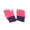 thumbnail image 3 of Gardening Tools for Kids Include Watering Can Gloves Shovel Rake Fork, 3 of 4
