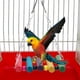 thumbnail image 4 of 6 uds. Columpio colgante para loros y pájaros, campana Sepaktakraw, colgante de madera, juguete para masticar, accesorio para jaula para mascotas, 4 of 14