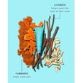 thumbnail image 3 of TULA Skin Care Face Filter Blurring and Moisturizing Primer - First Light, 1fl oz, 3 of 5