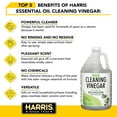Harris Gallon Strength Eucalyptus Scent Concentrated Cleaning Vinegar