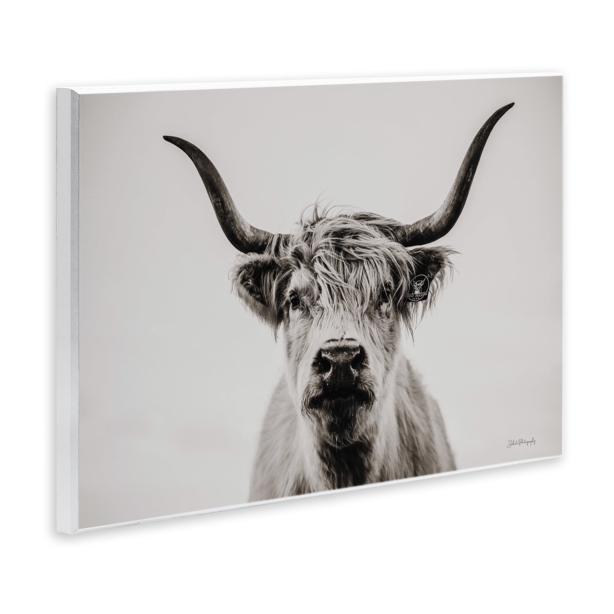 Stupell Industries Calm Cattle Portrait Animals & Insects Photography Unframed Art Print Wall Art, 15 x 10