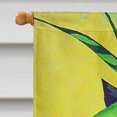 thumbnail image 3 of Carolines Treasures PJC1042CHF Summer Daze Frog Flag Canvas House Size, 3 of 4