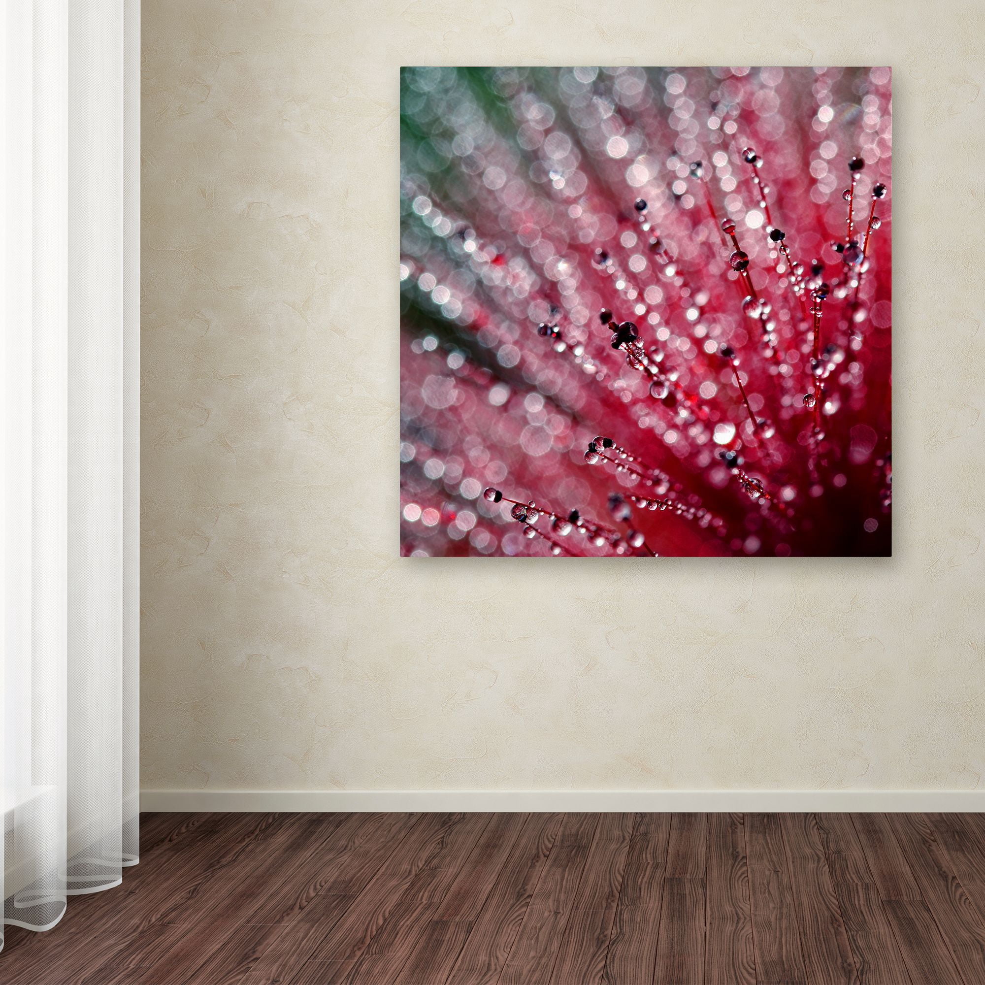 Trademark Fine Art "Pink Melody" Canvas Art by Beata Czyzowska Young