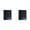 Black*2, variant on 1Pcs Folders with Pockets and Prongs,Plastic 3 Prong Folders with Pockets,Durable Plastic Pocket Folders with Prongs,Tear Resistant,2 Pocket 3 Prong Folders for Schoolwork & Office,Black