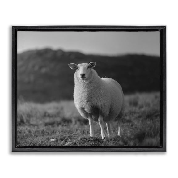 Stupell Industries French Country Sheep In Rural Country Field Black Floating Frame Canvas Art, 21 x 17, by Thomas Tepstad Berge