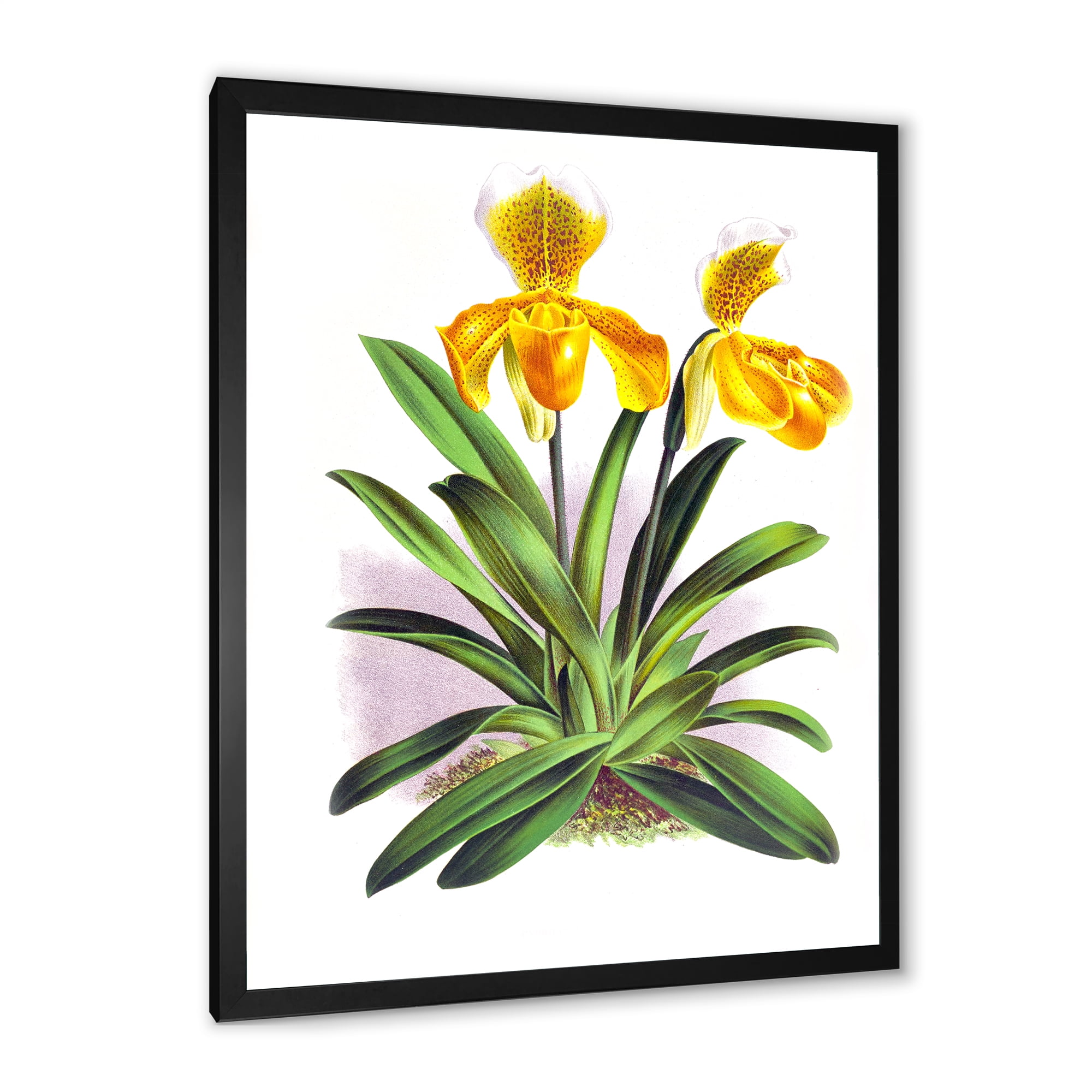 Designart 'Yellow Vintage Orchid' Traditional Framed Art Print
