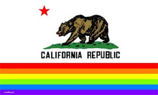 Rainbow Love Flag Heart Banner Gay Pride Pennant Festival Event Sign LGBT 3x5 