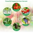 thumbnail image 4 of Hongchun 100 Pcs Tomato Vegetable J-Hook 13cm To Prevent Fruit Falling, 4 of 5