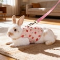 thumbnail image 1 of Breathable Mesh Pet Leash, Adjustable Traction Harness With Vests Style Design, for Small Animal, Pink, 1 of 6