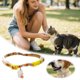thumbnail image 2 of Collar de Halloween con bonitos colgantes. Gato y collar ajustables para fiestas., 2 of 6