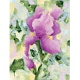 thumbnail image 2 of Holden, Jennifer 15x18 White Modern Wood Framed Museum Art Print Titled - Purple Iris, 2 of 4