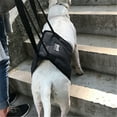 Adjustable Straps Support Harness Helps With Loss Of Stability Caused