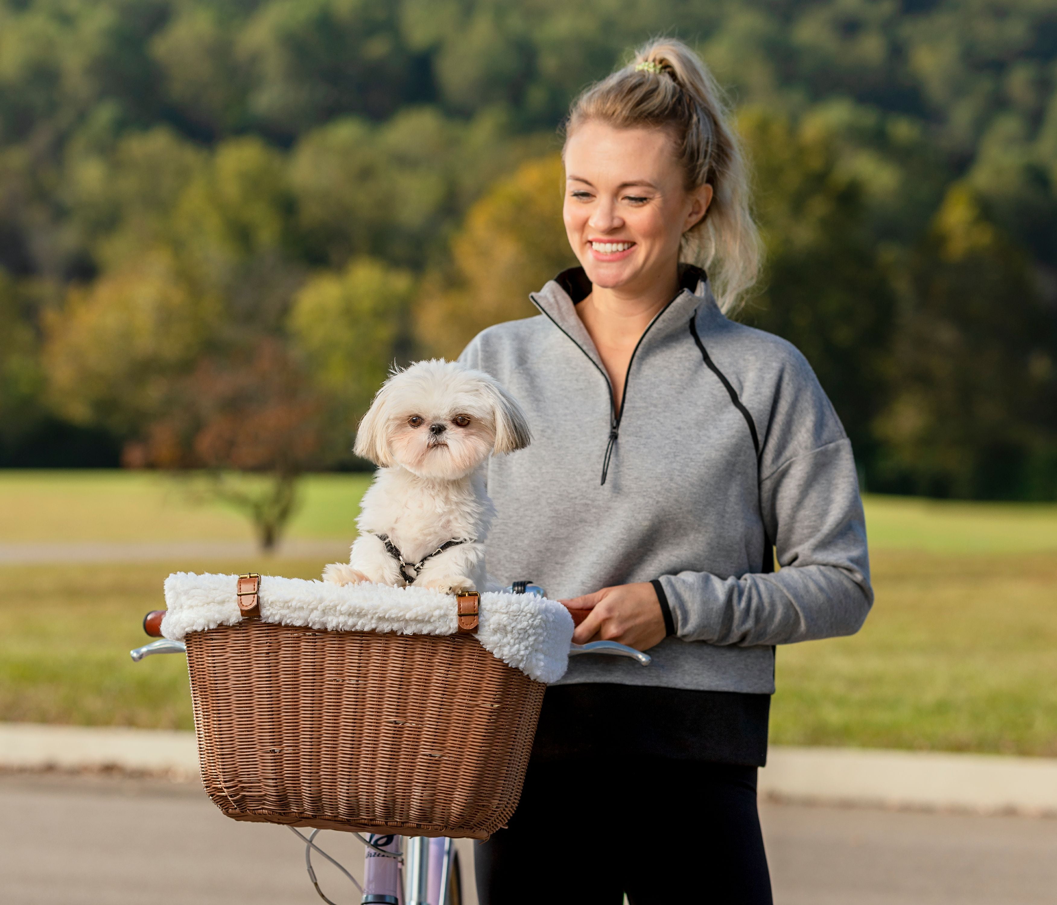 walmart dog bike basket