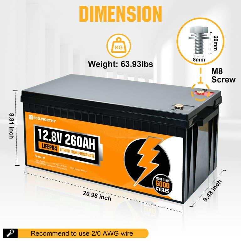 Introducing The Eco-worthy 12v 100ah Lifepo4 Battery - Find Out What's  Inside The Box! 