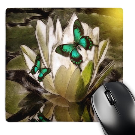 3dRose  Water Lily Butterflies  MousePad price history on PriceWatchPro