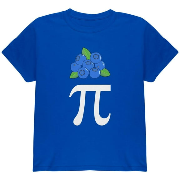 Halloween Math Pi Costume Blueberry Day Youth T Shirt Royal YXL