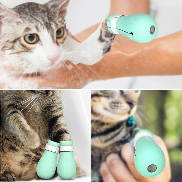 Pet cat shoes cheap