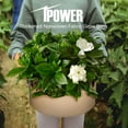 thumbnail image 5 of iPower 5-Pack 10 Gallon Plant Grow Bags Thickened Fabric Pots, 5 of 7