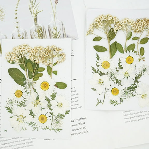 Vacemry Dried Flower Pack, Natural Pressed Flowers for DIY Crafts and Jewelry Making, Assorted Dried Flower Petals for Resin Art, Decorative Dry Flowers for Home Decor and Scrapbooking