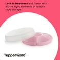 thumbnail image 1 of Tupperware Ensemble de Centre de Service - Plateau de Service à 6 Compartiments et Plateau de Fête - Récipient de Stockage de Nourriture et Couvercle - au Lave-Vaisselle et Sans BPA, 1 of 5