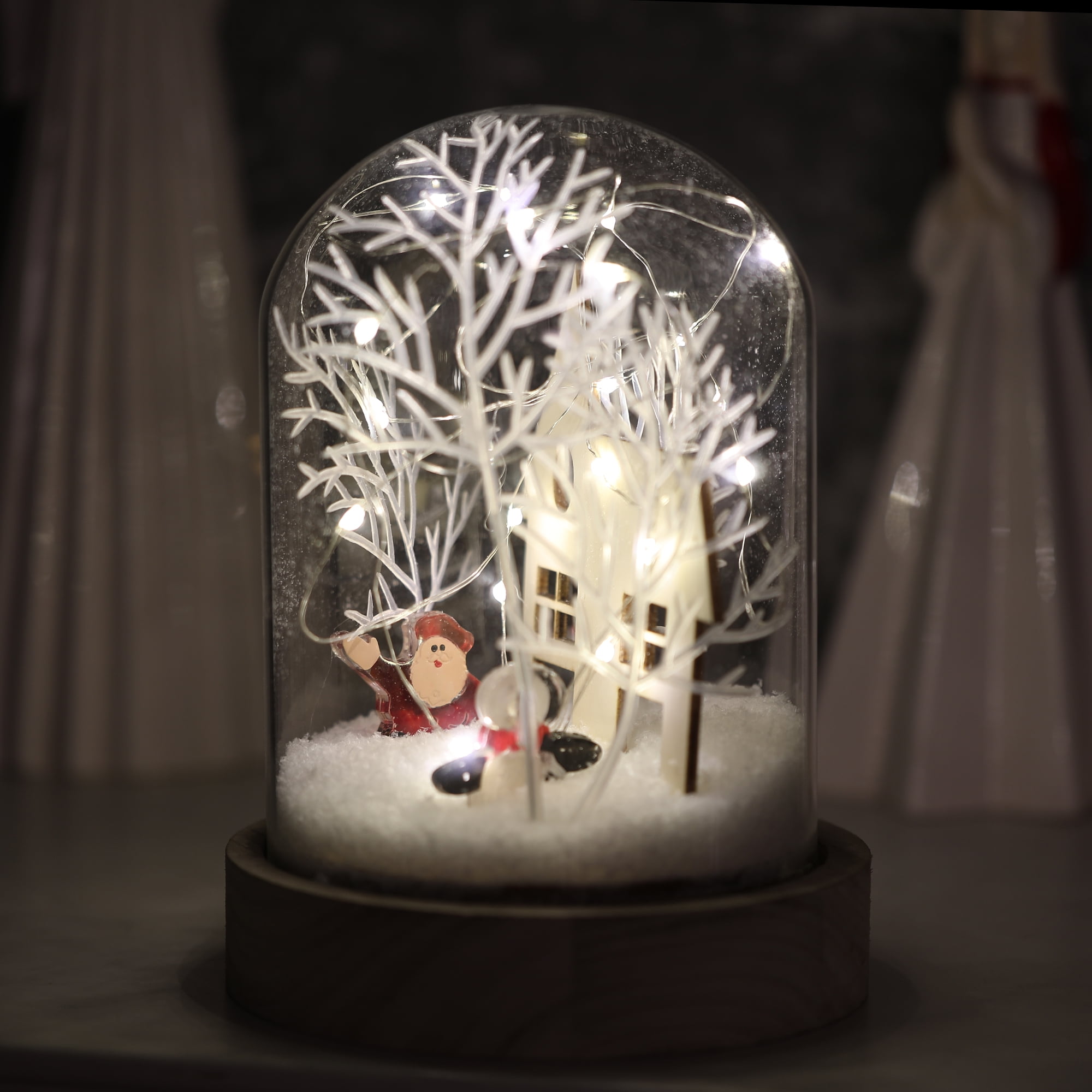 Holiday House LED Dome