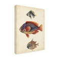 thumbnail image 2 of Trademark Fine Art 'Antique Fish Species IV' Canvas Art by Unknown, 2 of 4