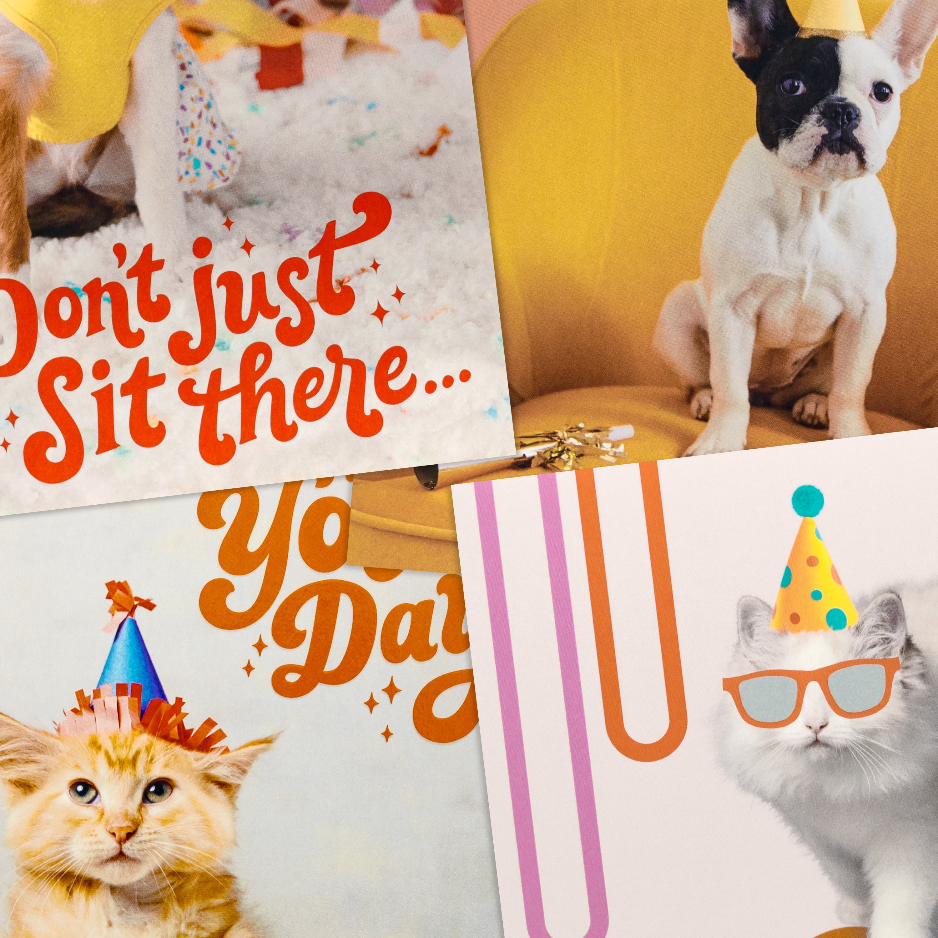 Hallmark Birthday Cards (Party Pets), 12 Count
