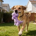thumbnail image 4 of Plush Chew Toy for Dogs,Interactive Squeaky Dog Toy,Durable Dinosaur Design with Loud Animal Sound,Engaging Chew Toy for Play Training Puppies and Dogs,Machine Washable Yellow Pet Toy, 4 of 5