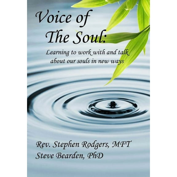 Voice of the Soul : Learning to Work with and Talk about Our Souls in New Ways (Paperback)