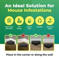 thumbnail image 6 of LockBait Pro Mouse Bait Stations  Mouse Bait Box for Outdoor Use  Mouse and Rat Bait Stations with Keys for Indoor and Outdoor Use  Large Station  12-Pack  Ucatch, 6 of 7