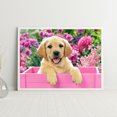 thumbnail image 4 of Cuadros Decorativos Kit de pintura de diamante 5D DIY perro lindo taladro redondo completo mosaico decoración del hogar Ndcxsfigh Nuevos Originales, 4 of 5