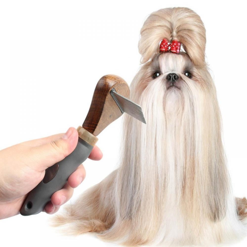 What Is Undercoat On A Dog